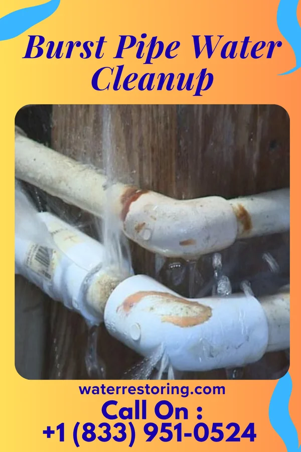 Burst Pipe Water Cleanup in Willoughby, OH