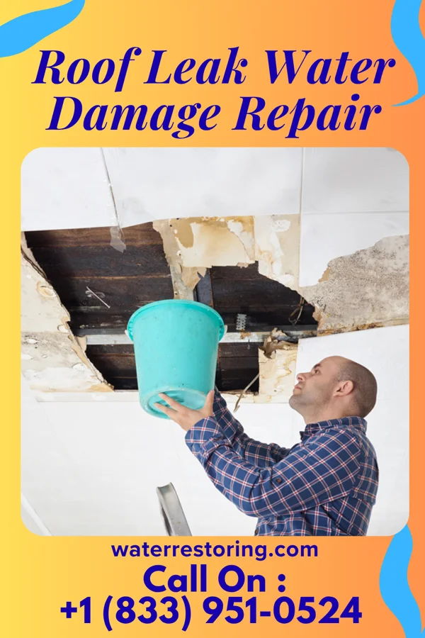 Roof Leak Water Damage Repair in Willoughby, OH