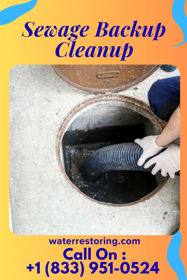 Sewage Backup Cleanup in Willoughby, OH